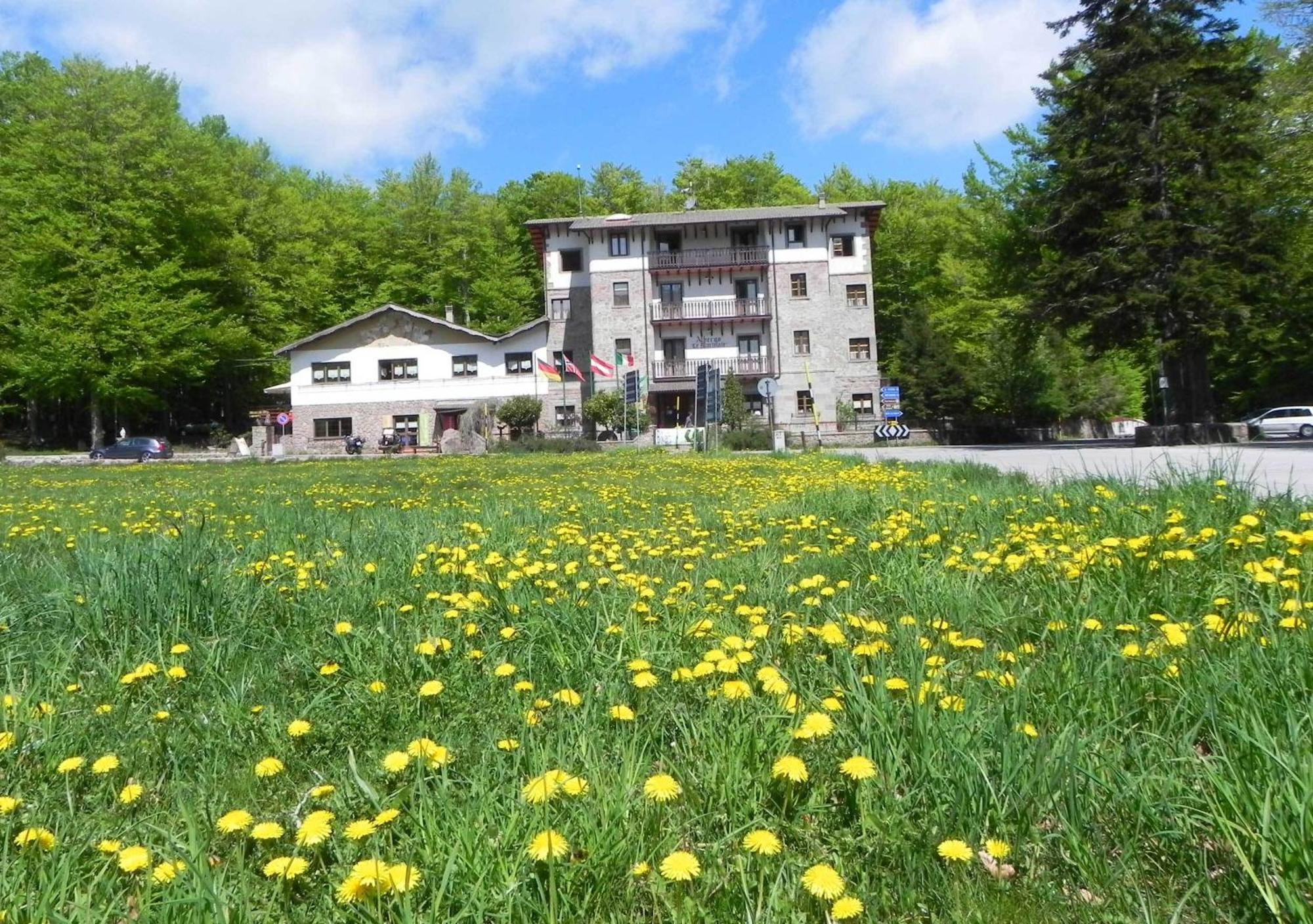 Albergo Le Macinaie - Monte Amiata Castel del Piano Kültér fotó