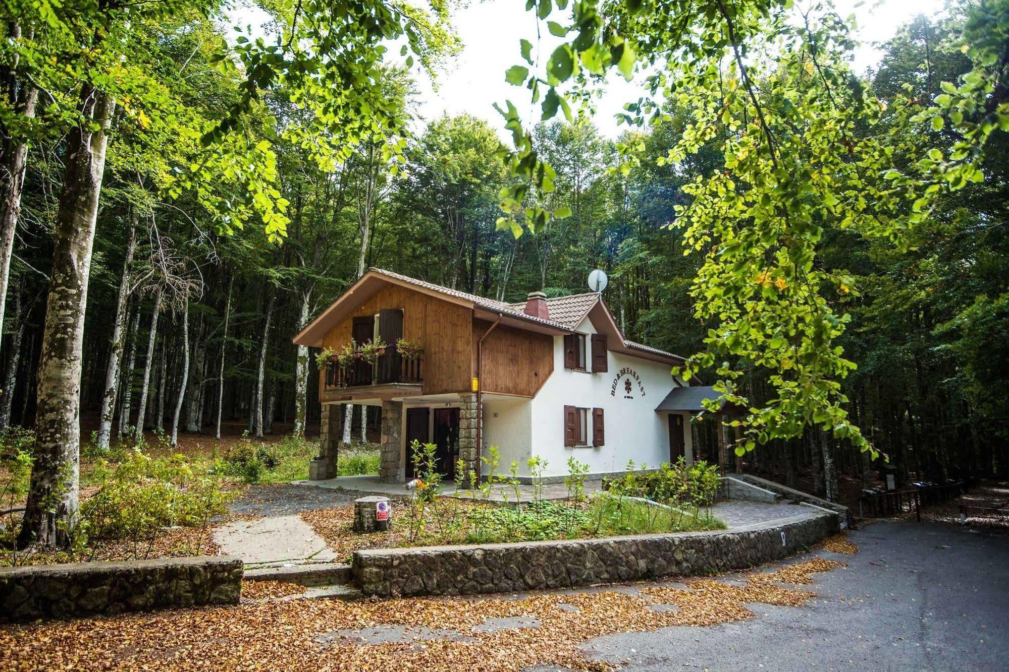 Albergo Le Macinaie - Monte Amiata Castel del Piano Kültér fotó
